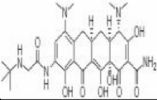 Tigecycline